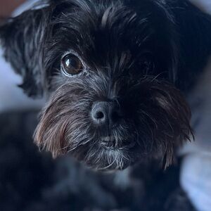 Meet your Posher, Mayah